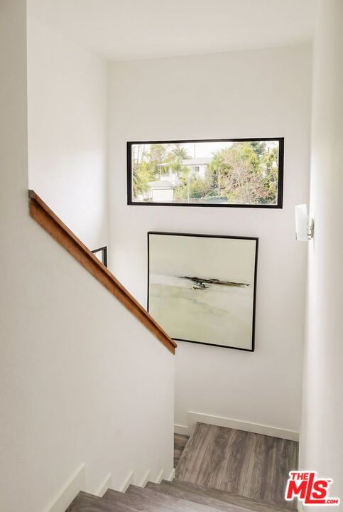 Seldner photo 12