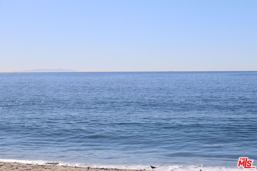 Pacific Coast photo 8