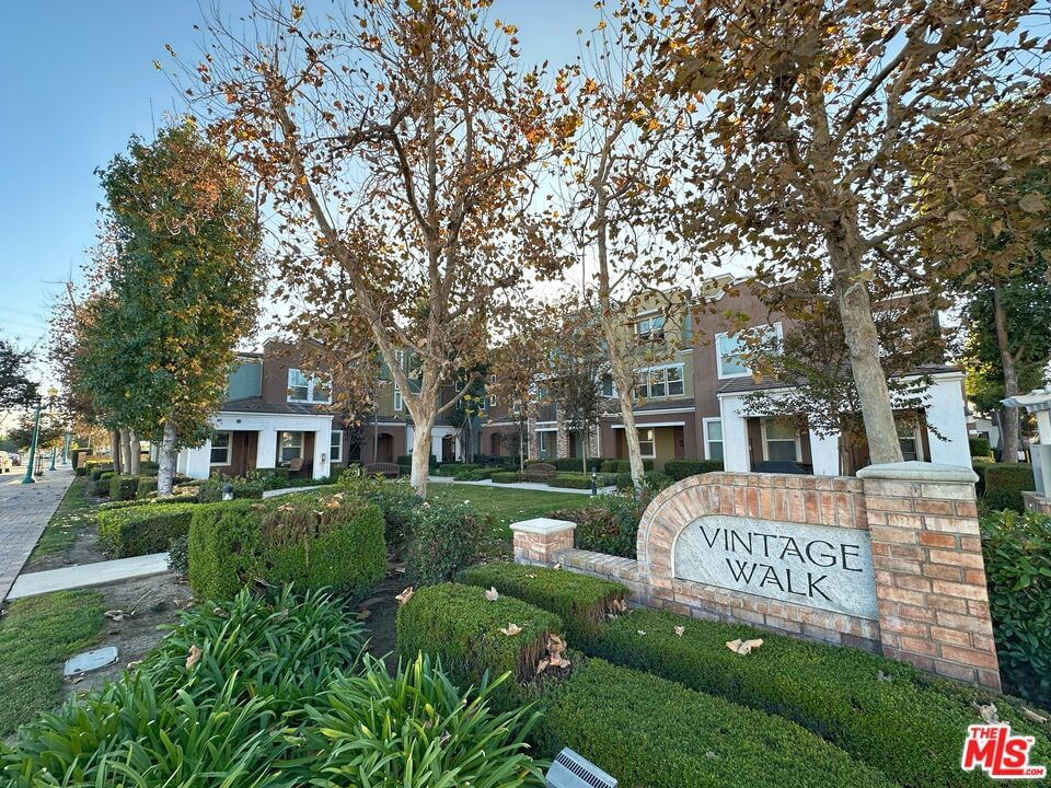 Zinfandel photo 13