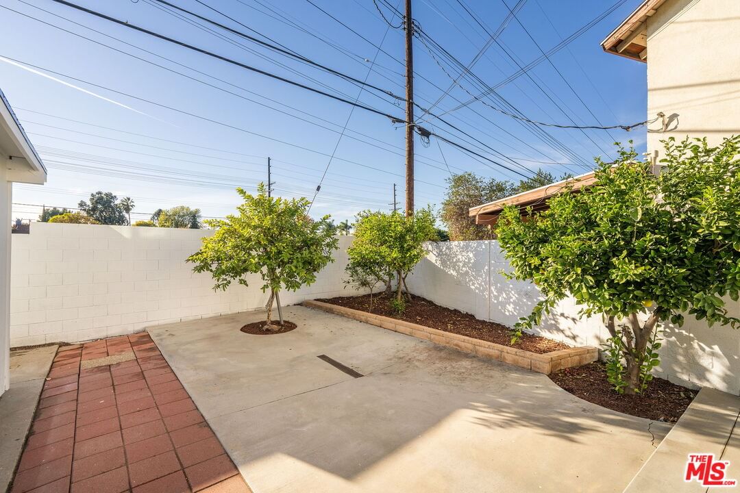 Cedros photo 41