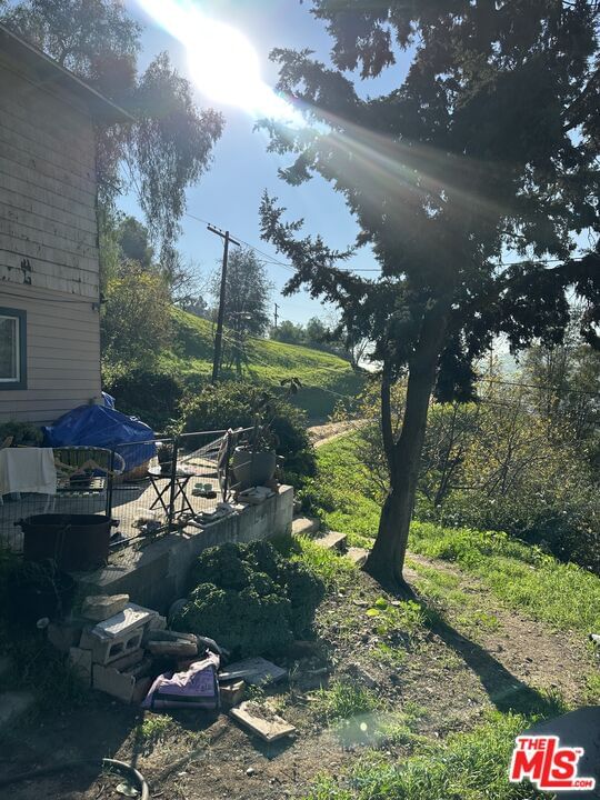Topaz photo 11