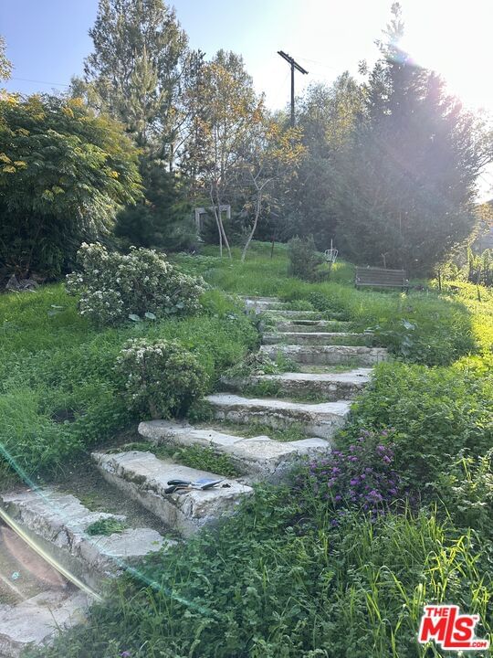 Topaz photo 3