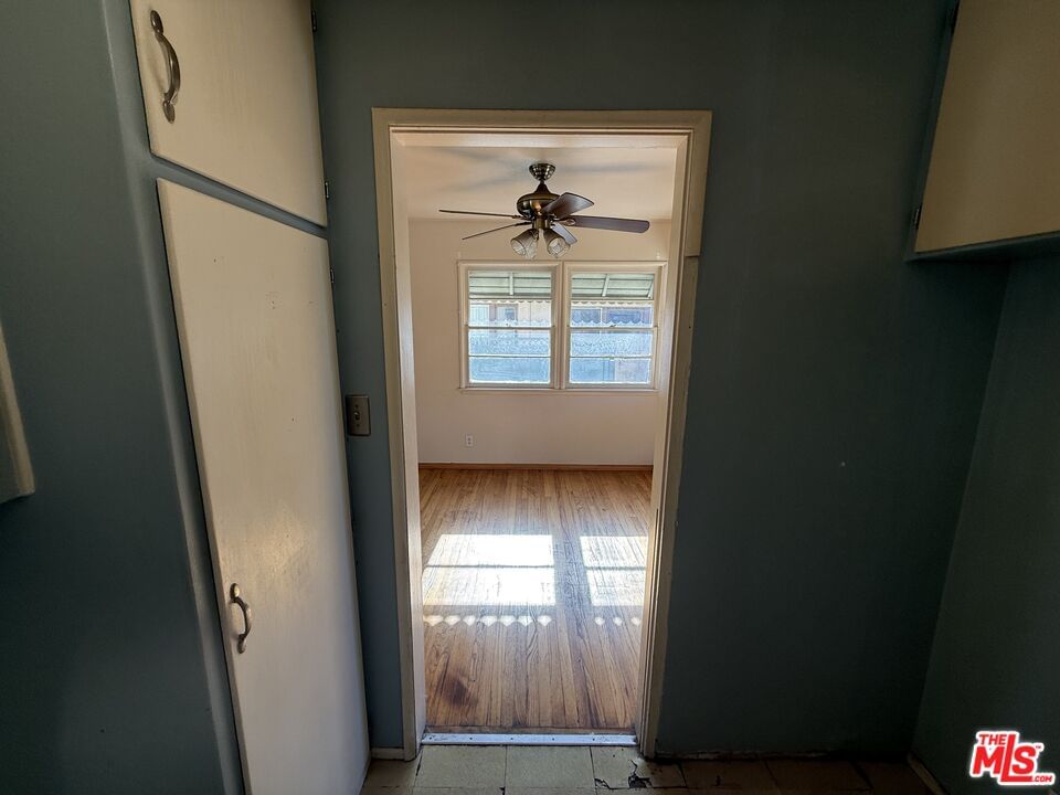 Barela photo 11