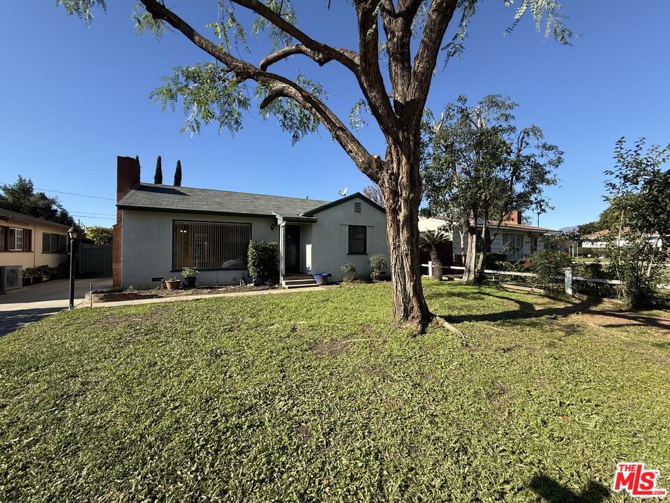 Barela photo 2