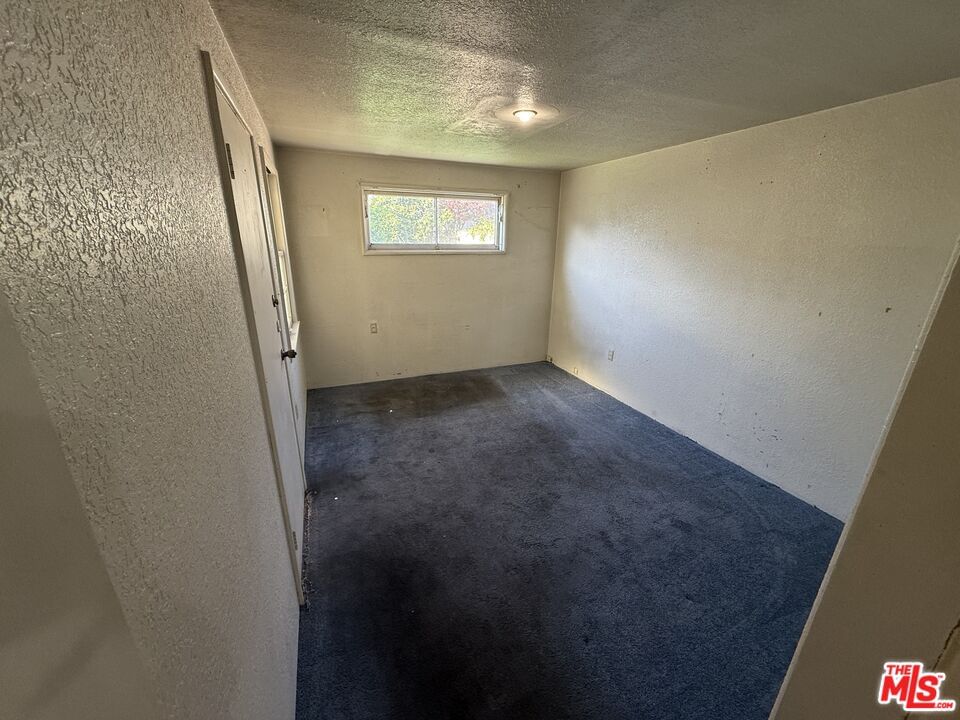 Barela photo 20