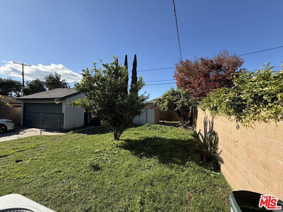 Barela photo 25