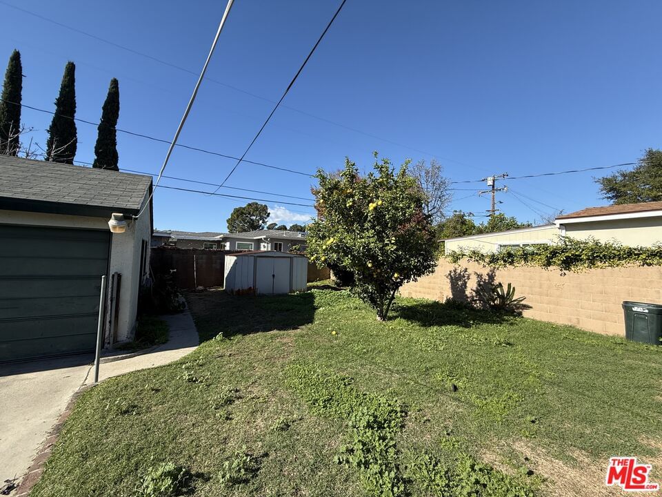 Barela photo 26