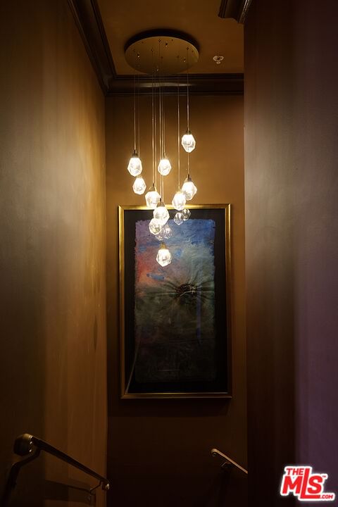 Doheny photo 15
