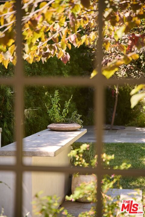 Le Conte photo 28