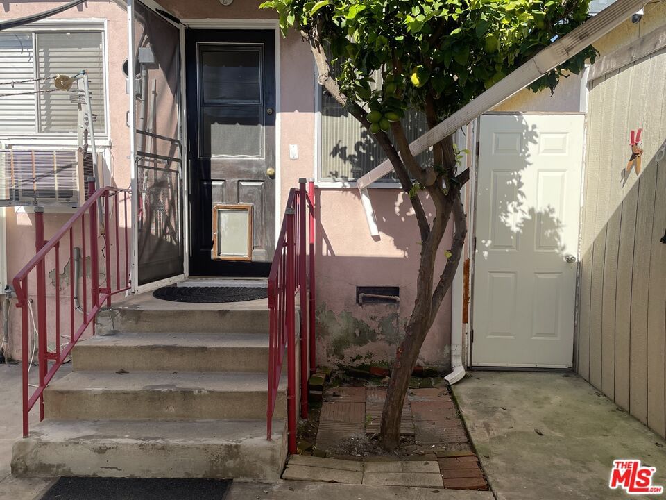 Verdugo photo 14