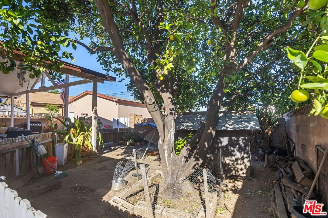 Saticoy photo 22