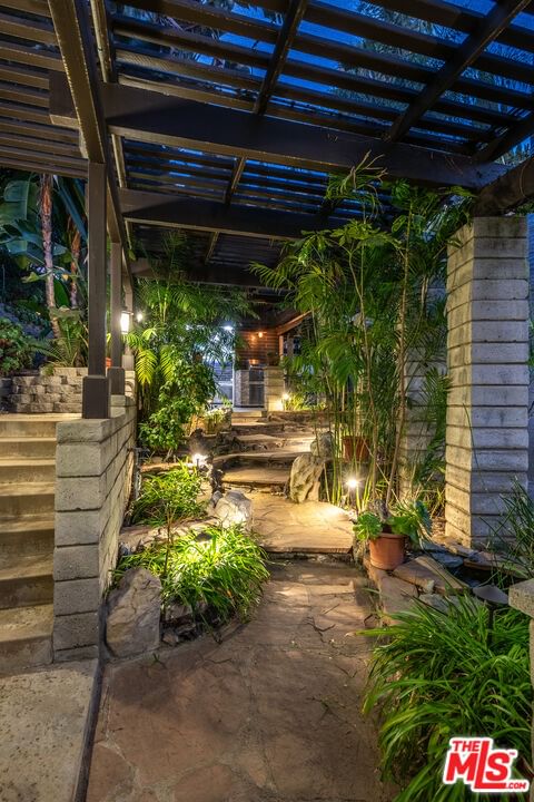 Elmwood photo 59