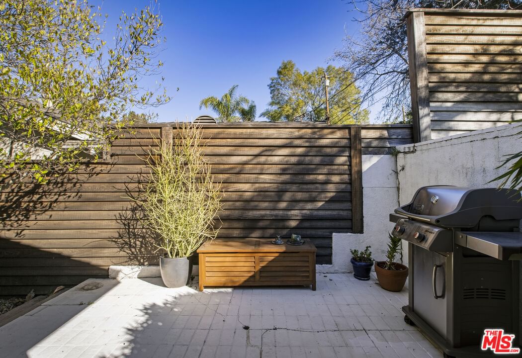 Conejo photo 31