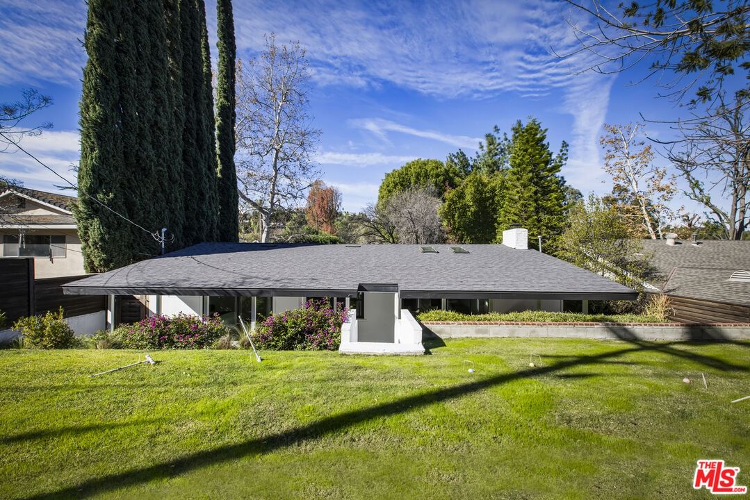 Conejo photo 38