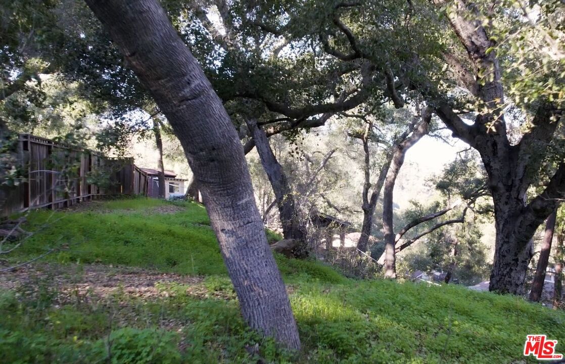 Winfield photo 10