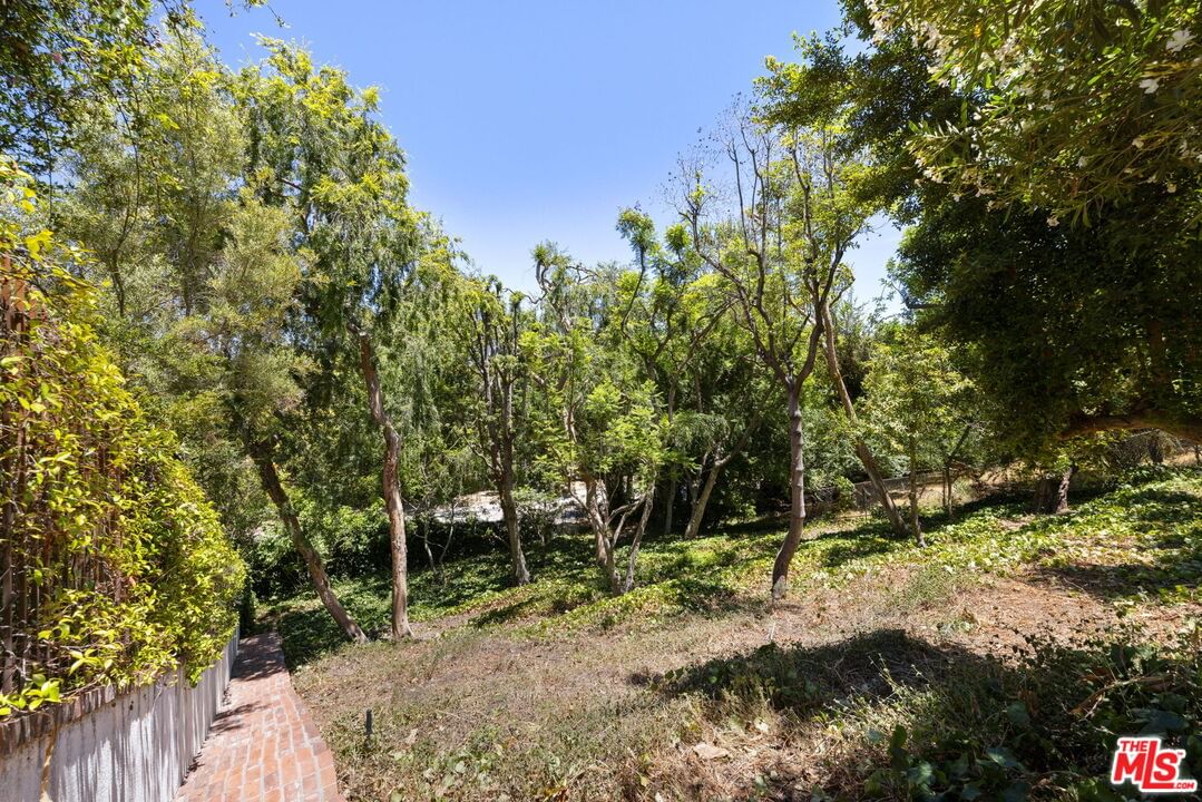 Birchwood photo 55