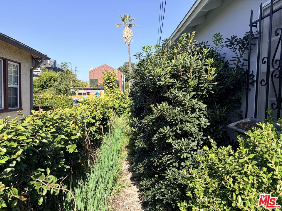 Grand photo 14
