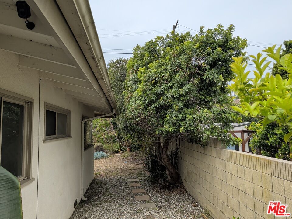 Billowvista photo 3