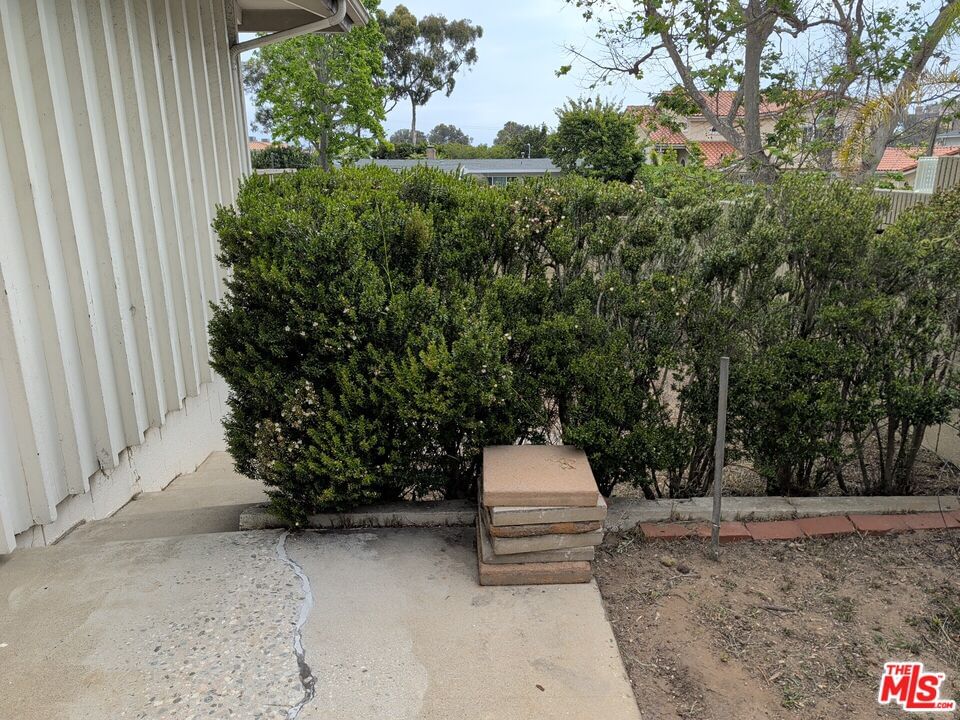 Billowvista photo 44