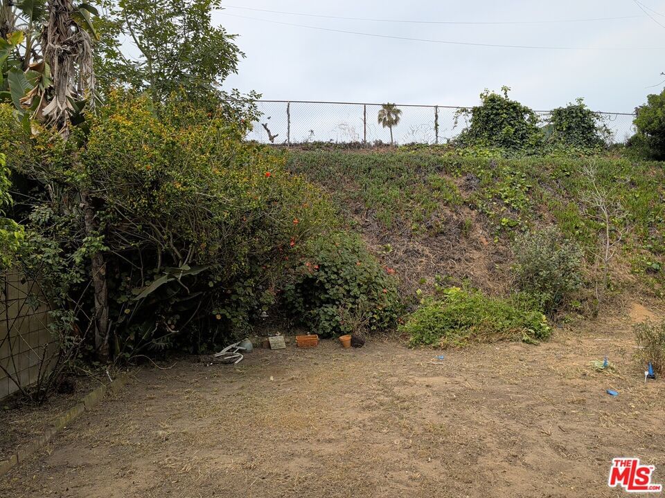 Billowvista photo 46