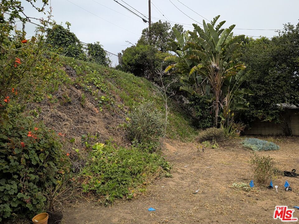 Billowvista photo 48