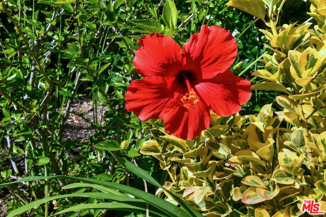 El Encanto photo 8