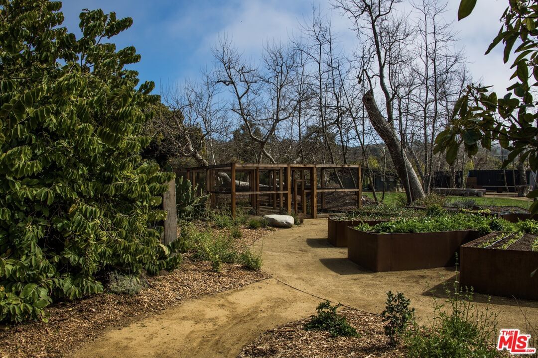 Bonsall photo 24