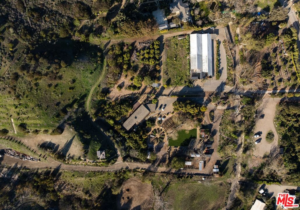 Bonsall photo 8