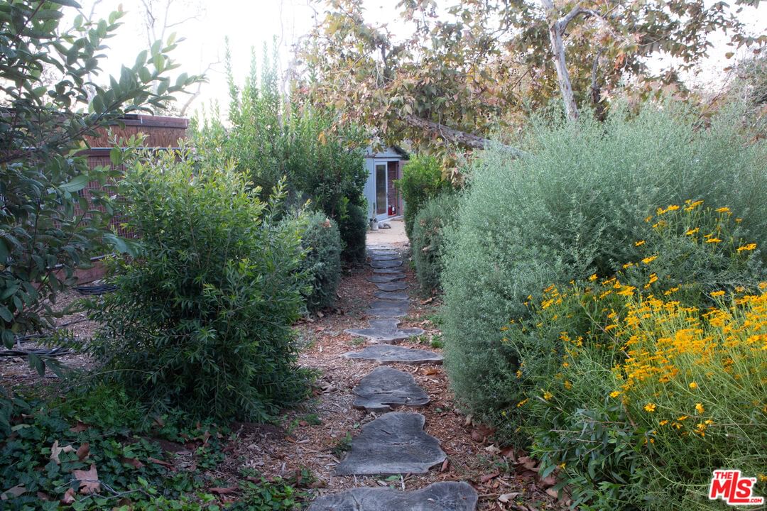 Bonsall photo 9