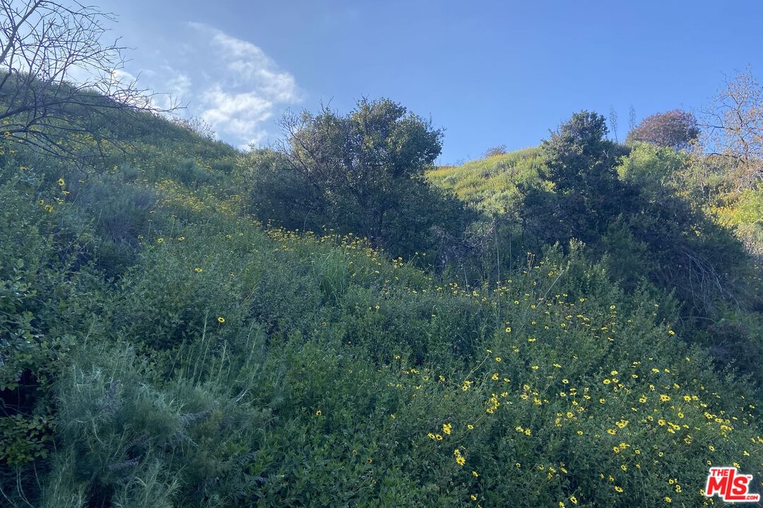 Franklin Canyon photo 27