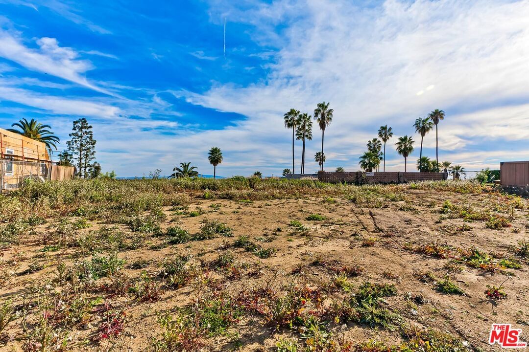 Scenic photo 8