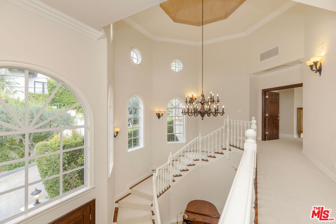Bel Air photo 18