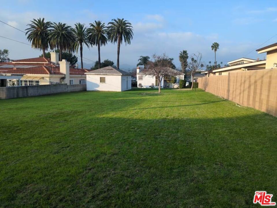 Dorothy photo 38