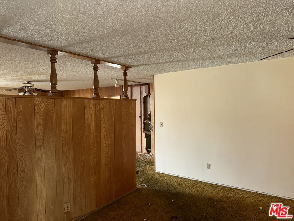 Cayuga photo 6
