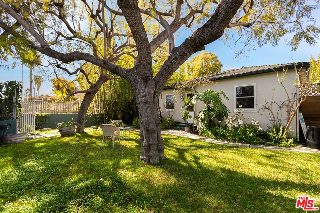 Centinela photo 3