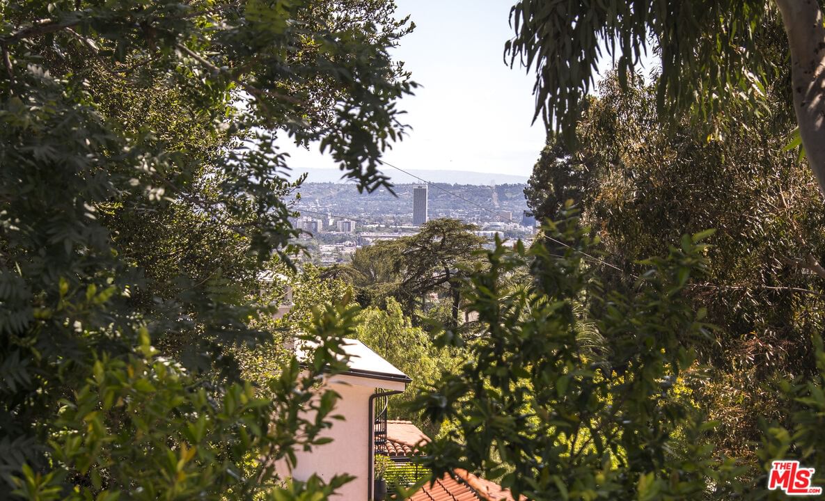 Curson photo 37