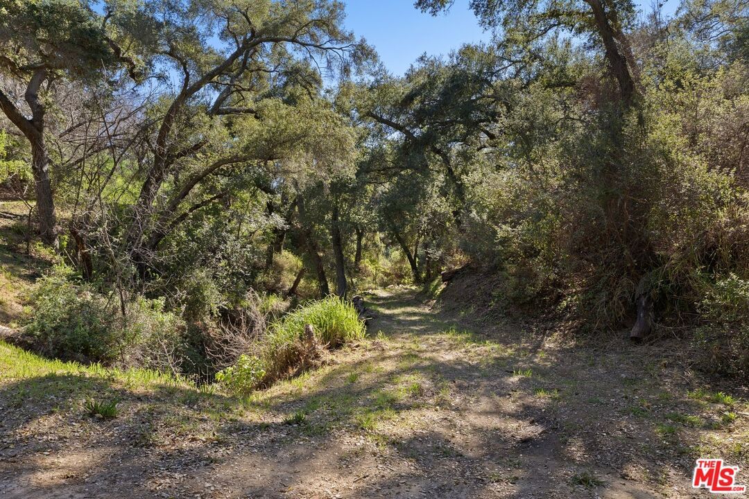 GREENLEAF CANYON photo 57