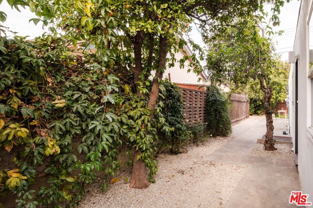 Arroyo photo 44