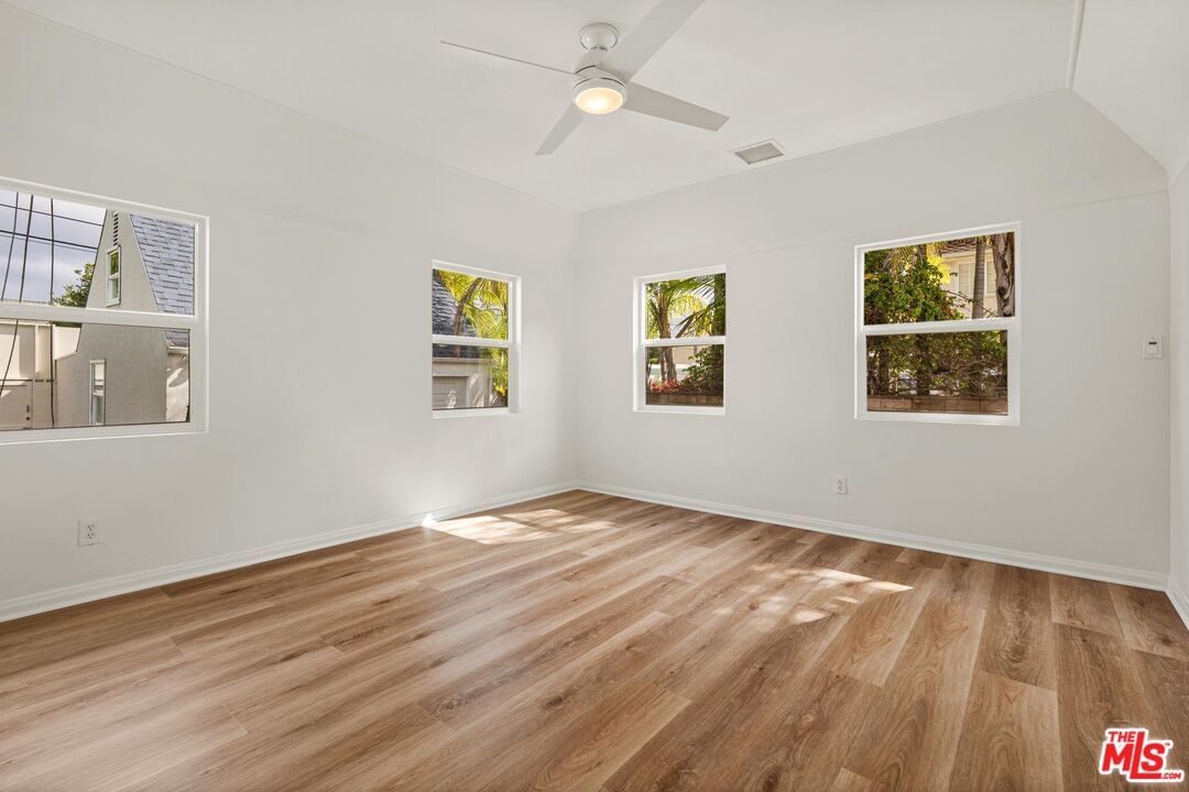 Elm photo 32