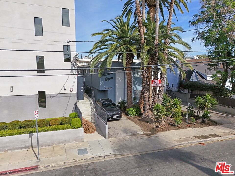 Huston photo 4