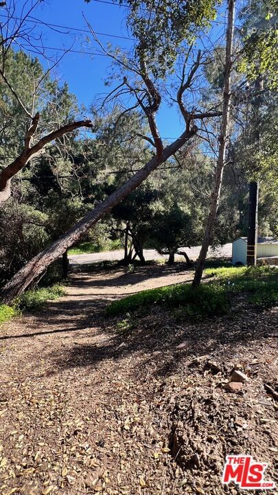 Old Topanga Canyon photo 10