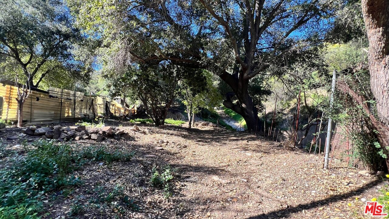 Old Topanga Canyon photo 11