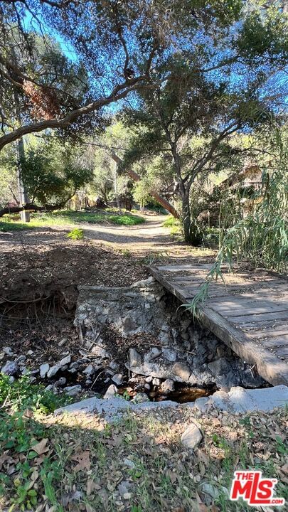 Old Topanga Canyon photo 13