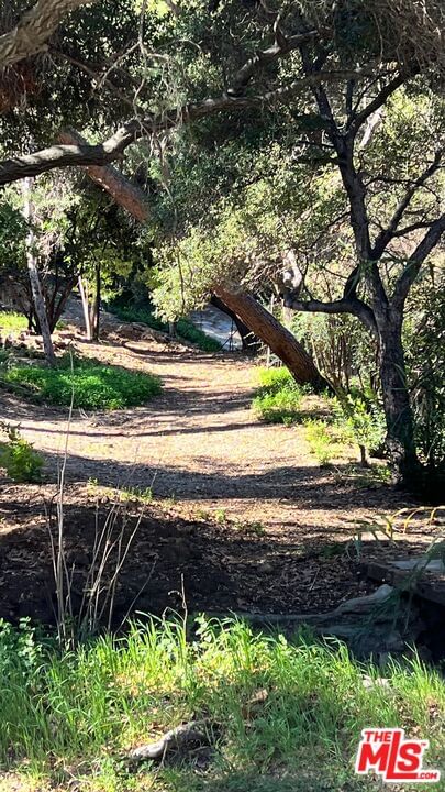 Old Topanga Canyon photo 16