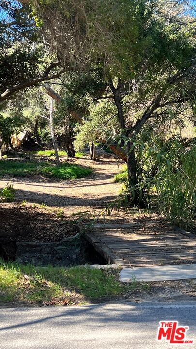 Old Topanga Canyon photo 17