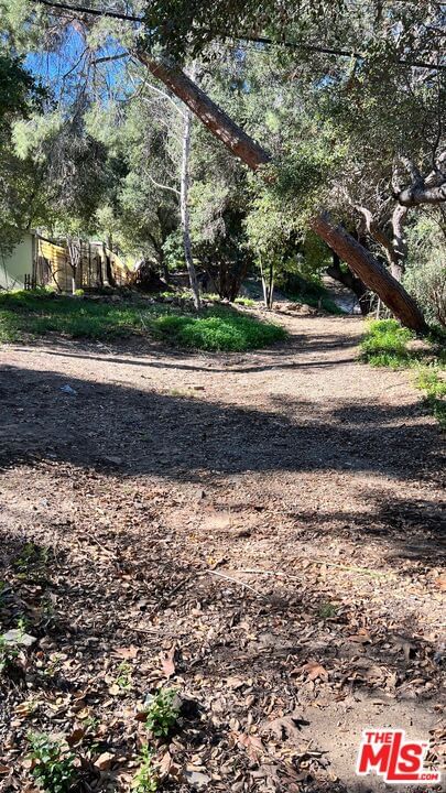 Old Topanga Canyon photo 3