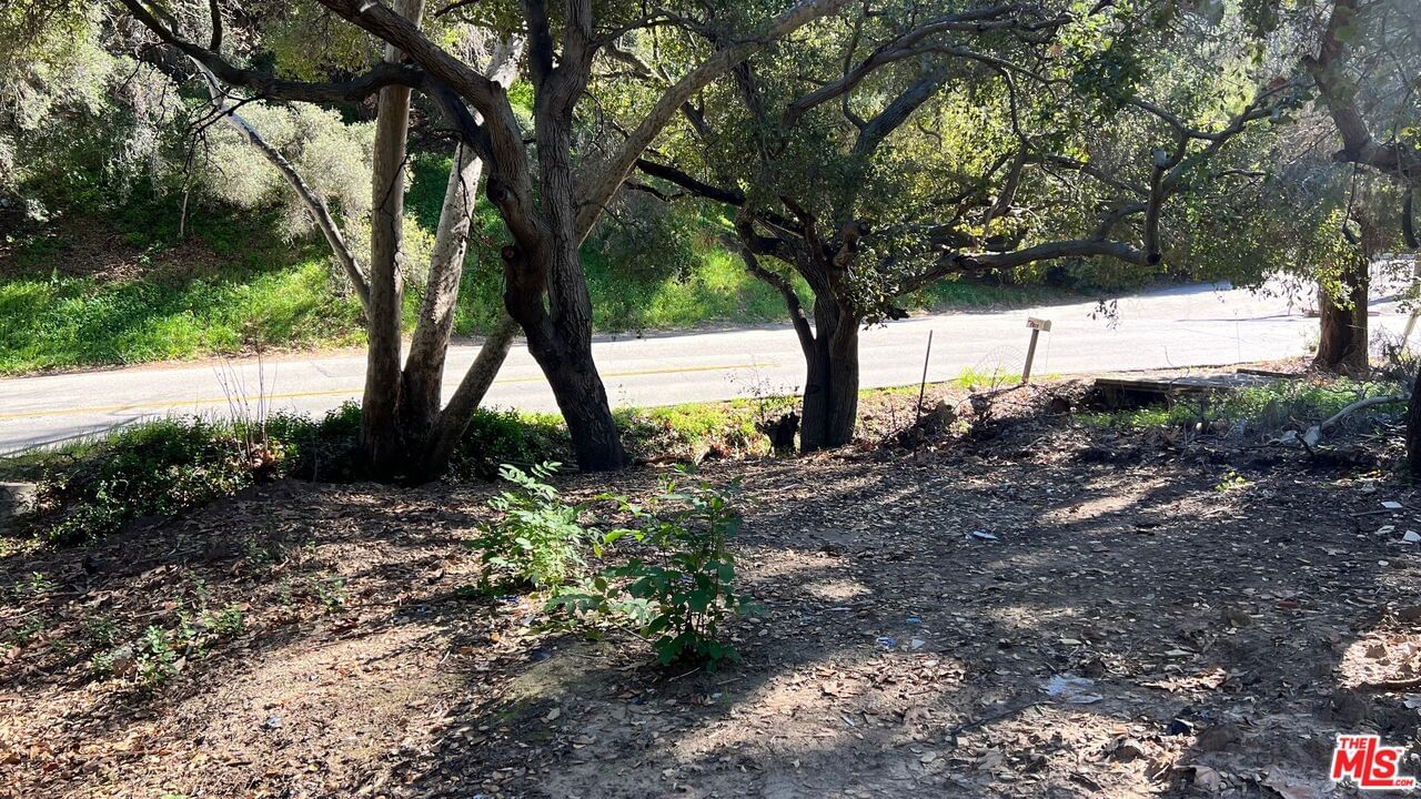 Old Topanga Canyon photo 4