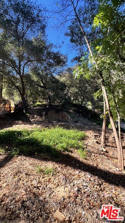 Old Topanga Canyon photo 7