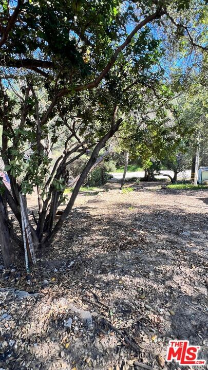 Old Topanga Canyon photo 8