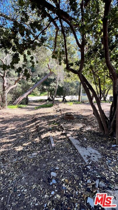 Old Topanga Canyon photo 9